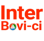 Partenaire 10